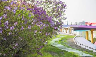 哈尔滨学校什么时候解除封闭 哈尔滨全面解封时间