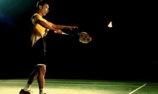 羽毛球分界 羽毛球单打边界怎么算（附图）